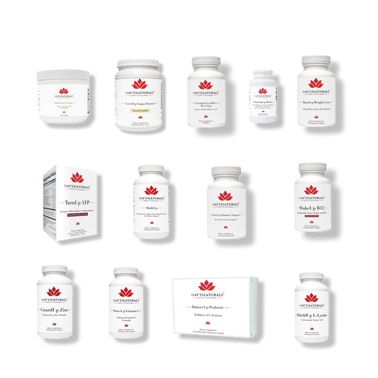 VEGAN HAY'S SHOWUP BUNDLE (ShowUp for yourself! The Ultimate Bundle) + Free Guide